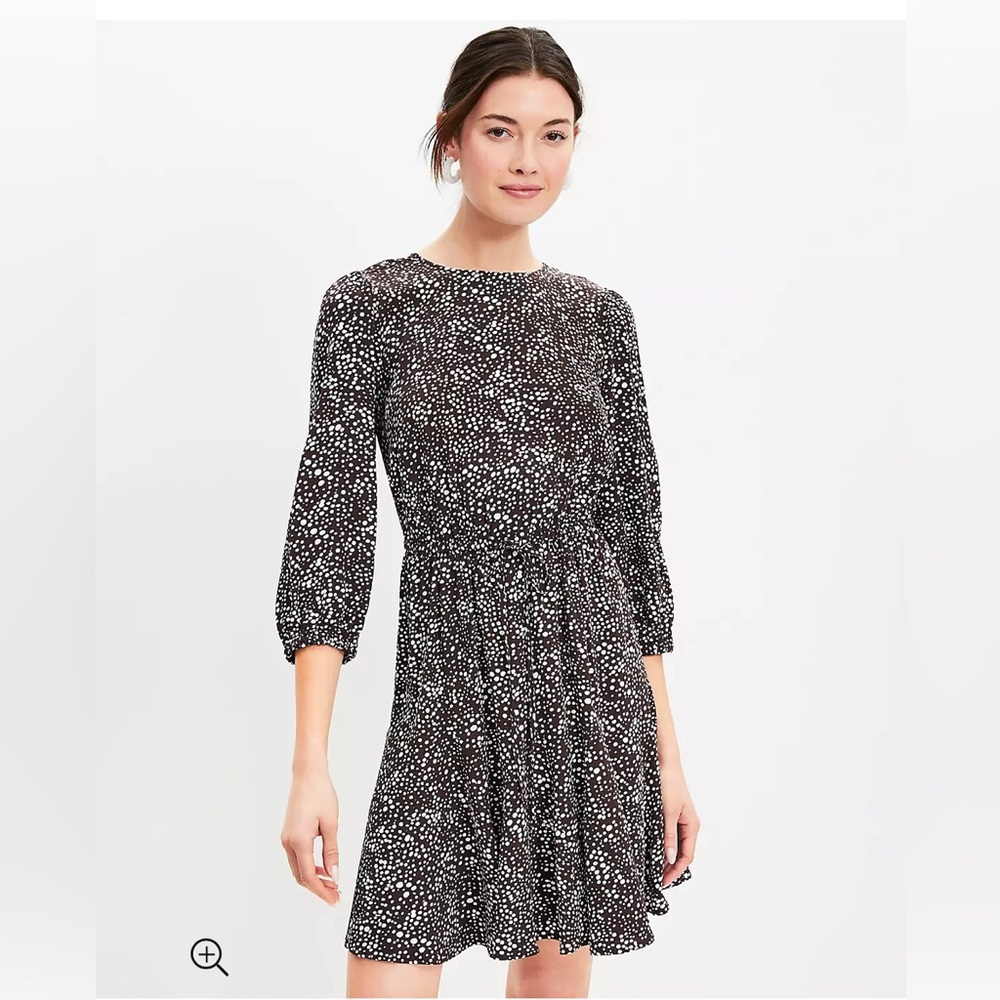 NWT Loft Dress